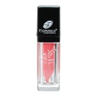 Блеск для губ Farres Velvet Lipgloss, тон 101, 8 мл Блеск для губ Farres Velvet Lipgloss, тон 101, 8 мл