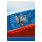 Колледж-тетрадь А4, 120 листов клетка Calligrata "Россия", твёрдая обложка Колледж-тетрадь А4, 120 листов клетка Calligrata "Россия", твёрдая обложка