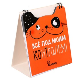 описание_картинки