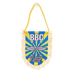 Вымпел в авто "ВВС", 11,1 х 17,4 см Вымпел в авто "ВВС", 11,1 х 17,4 см