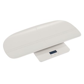 описание_картинки