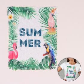 трансфер жираф