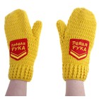 Варежки "Левая рука. Правая рука" Варежки "Левая рука. Правая рука"