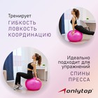 Мяч гимнастический массажный d=55см 600 гр, цвета МИКС Мяч гимнастический массажный d=55см 600 гр, цвета МИКС
