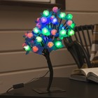 Светодиодный куст уличный 0,3 м, "Ежики", 32 LED, 220V, моргает МУЛЬТИ Светодиодный куст уличный 0,3 м, "Ежики", 32 LED, 220V, моргает МУЛЬТИ
