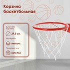 Корзина баскетбольная №3, d=295 мм, с упором и сеткой Корзина баскетбольная №3, d=295 мм, с упором и сеткой