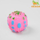 Игрушка резиновая пищащая "Чудо-мяч", 6,5 см, микс цветов Игрушка резиновая пищащая "Чудо-мяч", 6,5 см, микс цветов