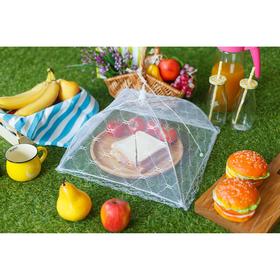 описание_картинки