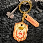 Брелок двухсторонний со смоляной заливкой "Нижний Новгород. Герб" Брелок двухсторонний со смоляной заливкой "Нижний Новгород. Герб"