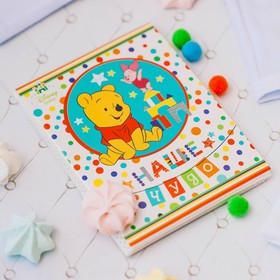 Инкубатор бытовой «Золушка», на 70 яиц