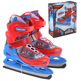 описание_картинки